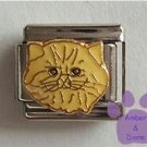 Cream Persian Kitty Cat Italian Charm Longhair Kitten