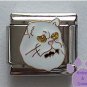 White Persian cat Italian Charm