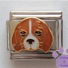 Adorable Beagle Puppy Dog Italian Charm