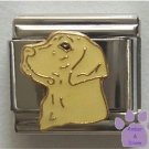 Beautiful Yellow Lab Dog Italian Charm - Golden colour
