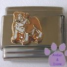 Bull Dog Italian Charm full body pose English Bulldog