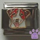 Cute Jack Russell Terrier with Tongue Out Italian Charm
