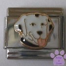 Dalmatian Dog Italian Charm very sweet puppy