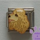 French Poodle Dog Italian Charm Creamy Golden Blond