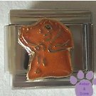 Gorgeous Chocolate Lab Dog Italian Charm