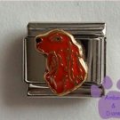 Irish Setter Dog Italian Charm