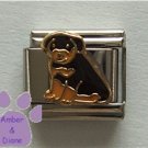 Rottweiler Puppy Italian Charm Rottie Pup