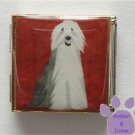 Bearded Collie or English Sheepdog Photo Megalink Italian Charm