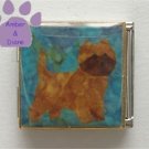Border Terrier or Cairn Terrier Dog Photo Italian Charm Megalink
