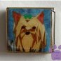 Yorkshire or Silky Terrier Photo Italian Charm Megalink Yorkie