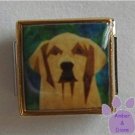 Golden Retriever Dog 9mm Custom Photo Italian Charm