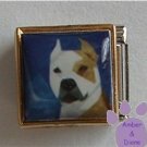 Pit Bull Dog 9mm Custom Photo Italian Charm