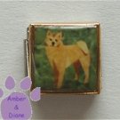 Shiba Inu Dog 9mm Custom Photo Italian Charm full body pose