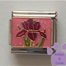 Fabulous Purple Iris or Cockscomb Flower Italian Charm