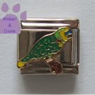 Blue Front Amazon Parrot Italian Charm for the bird or parrot lo