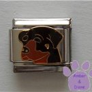 Black and Tan Rottweiler Dog Italian Charm