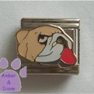 English Bulldog Italian Charm with his tongue hanging out