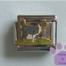 Family Dog Italian Charm pet dog standing guard for his family
