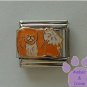 Pekingese Dog Italian Charm Peke Pup