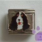 Springer Spaniel Dog Italian Charm Black and White