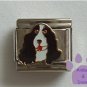 Springer Spaniel Dog Italian Charm Black and White
