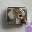 Weimeraner Dog Italian Charm Weimaraner Pup