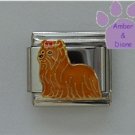 Yorkshire Terrier Dog Italian Charm Yorkie Pup