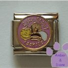 GIRL SCOUT COOKIES Italian Charm with lots of cookie varieties