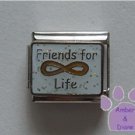 Friends for Life Italian Charm with the Eternity symbol