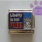 Liberty is not FREE Italian Charm with the Statue of Liberty