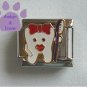 Molar Tooth & Toothbrush Italian Charm Dentist *Dental Assistant