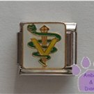 Veterinary Symbol Italian Charm on white