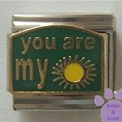 You are my Sunshine Italian Charm on Green Enamel