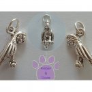 Amazon Parrot Sterling Silver Pendant Charm