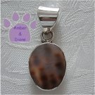 Shell Oval Sterling Silver Pendant in a simple frame