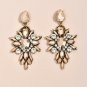 Exquisite Glitter Gold & AB Clear Crystal Cascade Earrings