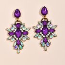 Exquisite Glitter Dark Purple & AB Clear Crystal Cascade Earrings