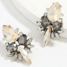 Beautiful Fashion Modern Unique Golden Gray Crystal Earrings