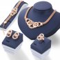Yellow Gold Plated 5 Circle Jewelry Set with Clear CZ