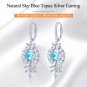 8.3ctw AAA Genuine Sky Blue & White Topaz 925 Lovely Leverback Dangle Earrings
