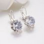 Silver Tone Leverback Round Yellowish Clear Crystal Earrings