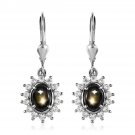 3.70 ctw Bankacha Natural Black Star Sapphire Earrings Platinum Over 925 Silver 3.70 ctw Bankacha Natural Black Star Sapphire Earrings Platinum Over 925 Silver