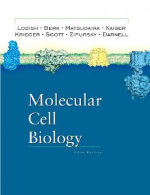 Molecular Cell Biology 5th ed by By Lodish, Berk 0716743663