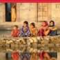 Mirror for Humanity A Concise Introduction to Cultural Anthropology 6th Conrad Phillip  0073405248