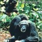 Essentials of Physical Anthropology / Edition 6 by Robert Jurmain 0495030619