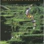 Anthropology / Edition 1 by Bernard Wood 0205320244