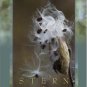 Introductory Plant Biology 10th by Kingsley R Stern 0073101753