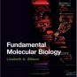 Fundamental Molecular Biology by Lizabeth A. Allison 1405103795