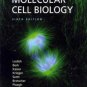 Molecular Cell Biology 6th by Harvey Lodish 0716776014