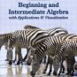 Beginning and Intermediate Algebra by Gary K. Rockswold 0321158911